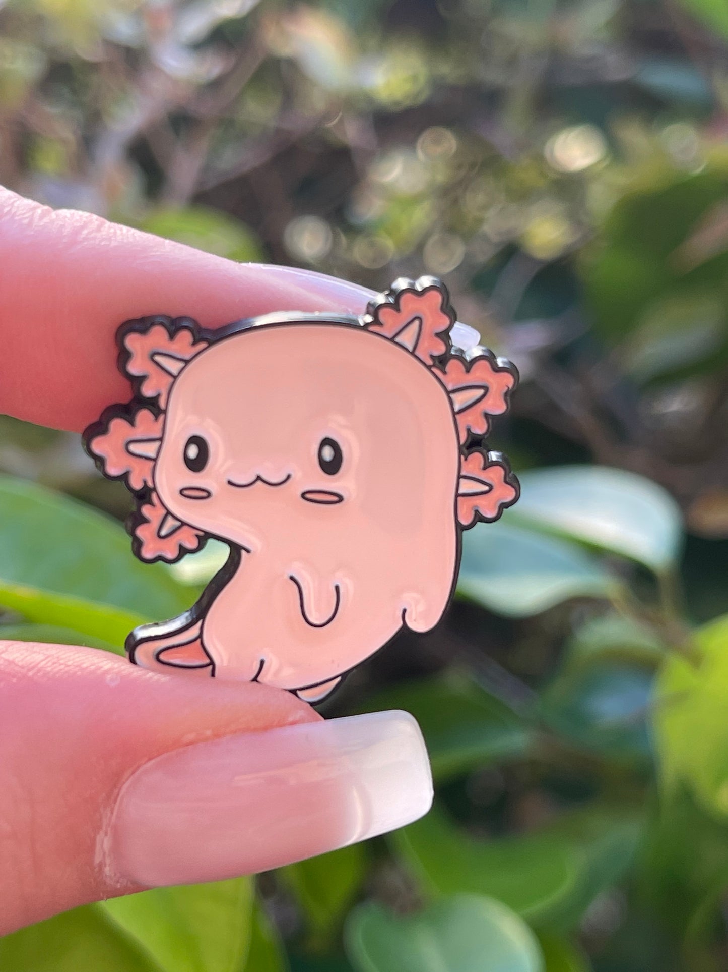 Axolotl | Minders