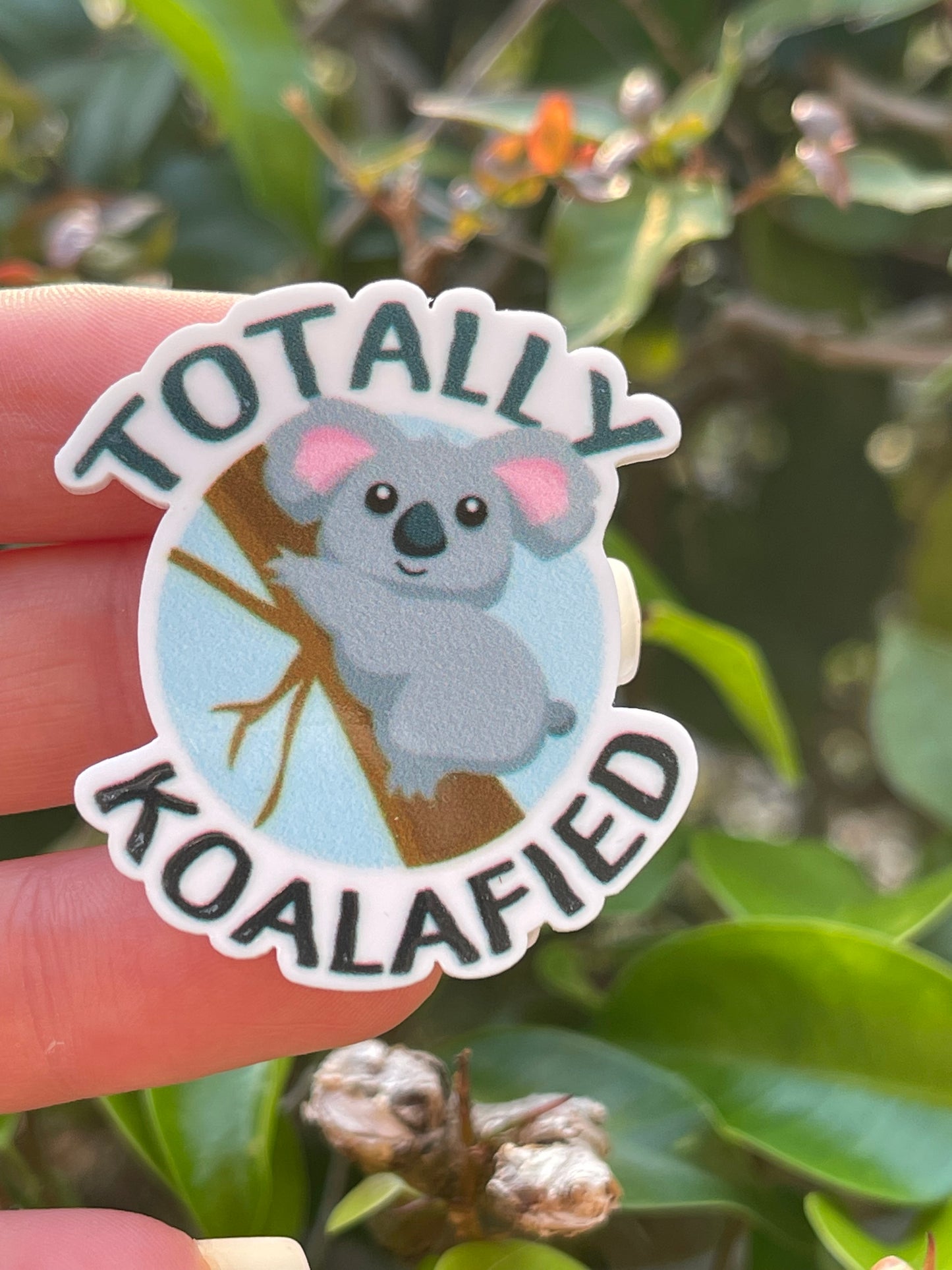 Totally Koalafied | Minders