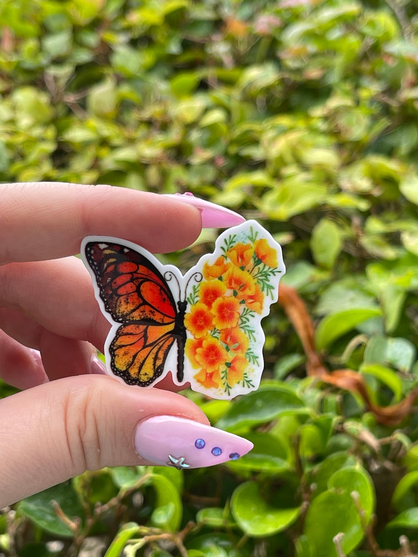 Butterfly Flower | Minders